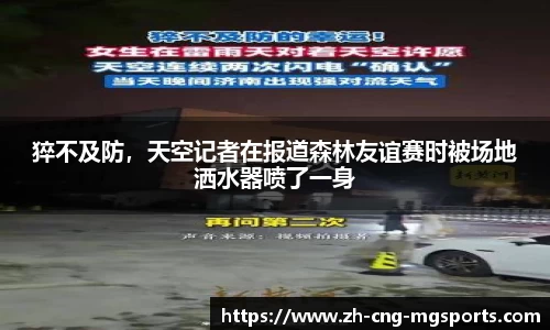 满冠体育MGSPORTS